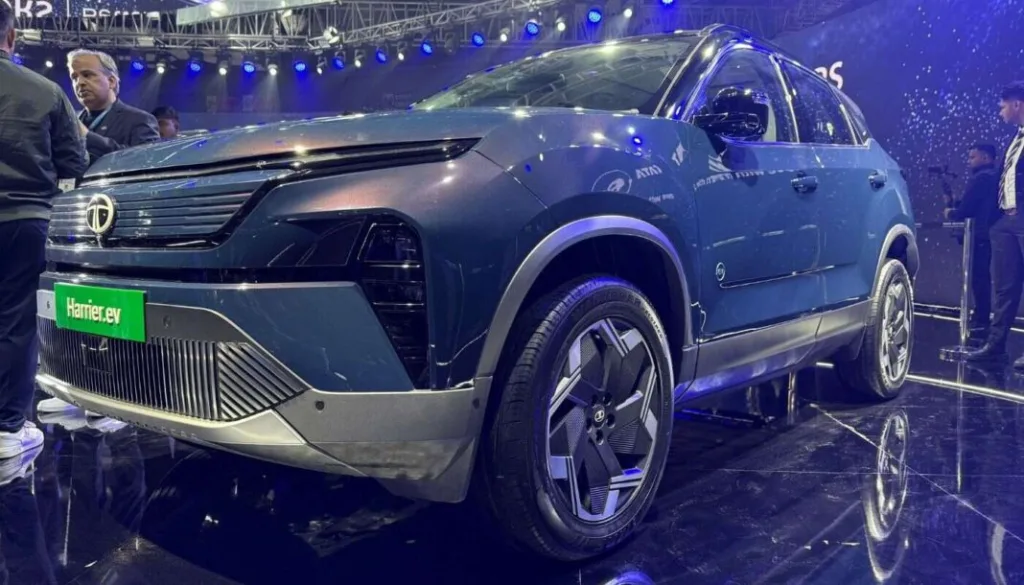 The Road Ahead: What This Means for Indian EV Enthusiasts