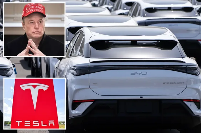 BYD Just Beat Tesla in Europe — Even With Tariffs in the Way