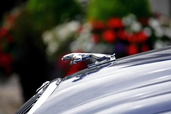 Jaguar Sales Collapse 97% After Controversial Rebrand