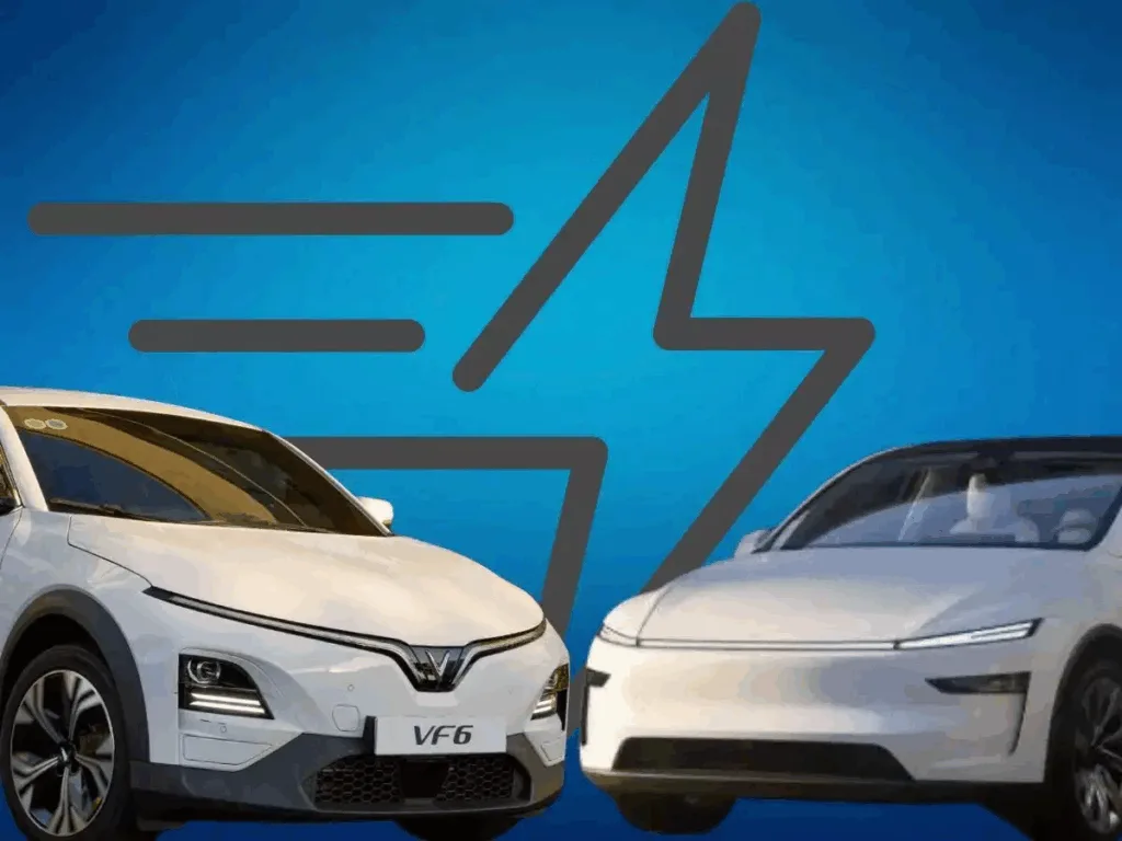 VinFast vs Tesla India